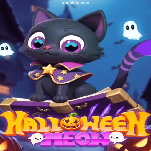 Embark on a Spooky Adventure with HalloweenMeow